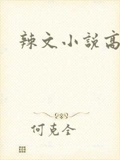 辣文小说高h封面