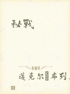 秘战