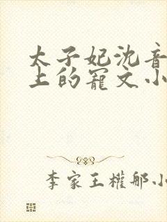 太子妃沈音和皇上的宠文小说