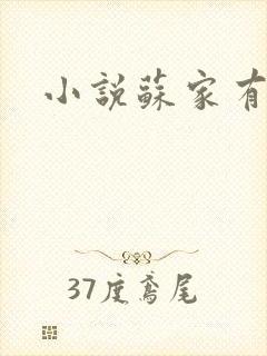 小说苏家有女封面
