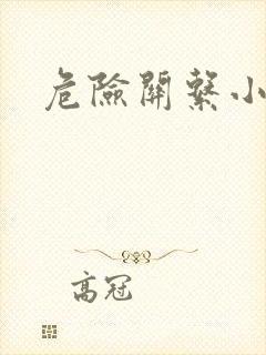 危险关系小说