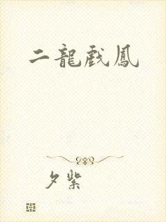 二龙戏凤