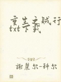 重生之贼行天下txt下载