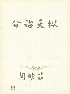 公治天纵封面