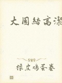 大团结高洁封面