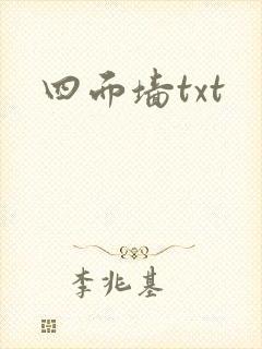 四面墙txt