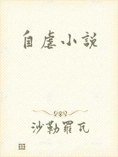 自虐小说封面