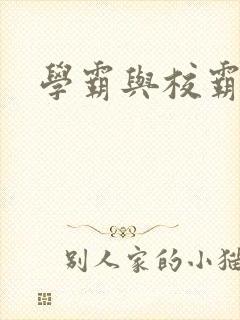 学霸与校霸