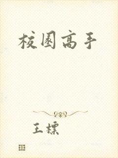 校园高手