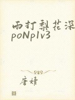 雨打梨花深闭门poNp1v3封面