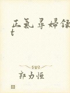 正气寻妇录txt