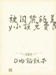 被囚禁的美人by小说免费阅读