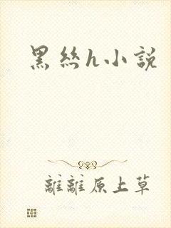 黑丝h小说