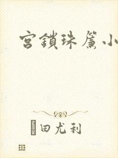 宫锁珠帘小说