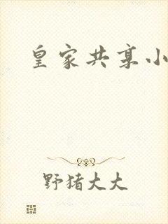 皇家共享小公主