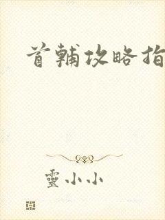 首辅攻略指南