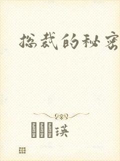 总裁的秘密情人