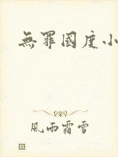 无罪国度小说