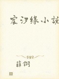 宸汐缘小说