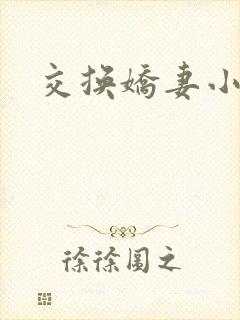 交换娇妻小说