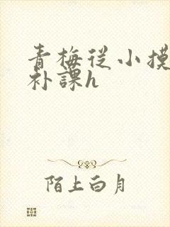 青梅从小摸到大补课h封面