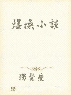 爆操小说