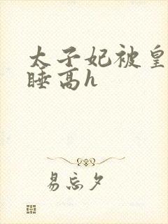 太子妃被皇上强睡高h封面