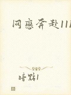 网恋奔赴11h封面