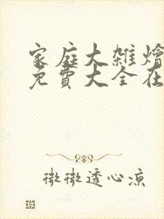 家庭大杂烩小说免费大全在线阅读封面