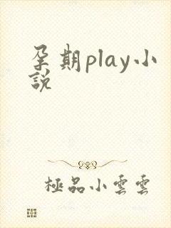 孕期play小说