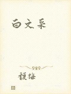 白文采封面