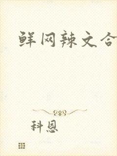 鲜网辣文合集封面
