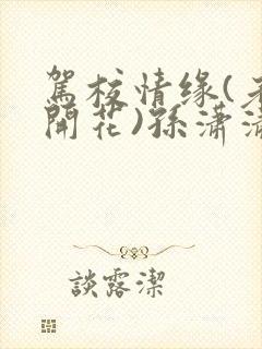 驾校情缘(老树开花)孙潇潇笔趣阁