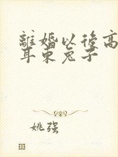 离婚以后高干 耳东兔子封面
