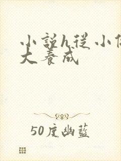 小说h从小做到大养成封面