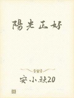 阳光正好封面