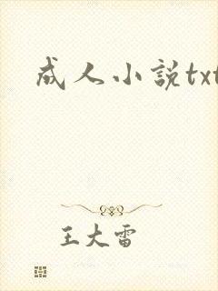 成人小说txt封面
