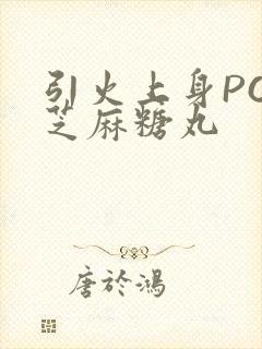 引火上身POP芝麻糖丸