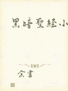 黑暗圣经小说