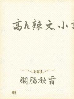 高h辣文小说