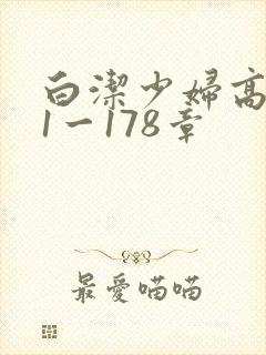 白洁少妇高义第1一178章封面