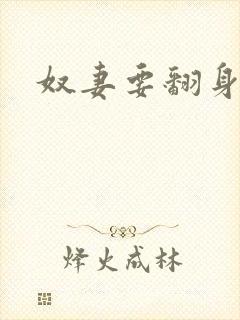 奴妻要翻身封面