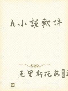h小说软件
