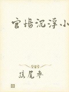 官场沉浮小说封面