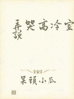弄哭高冷室友小说