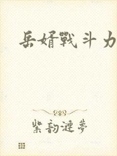 岳婿战斗力