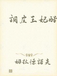 调皮王妃酷王爷