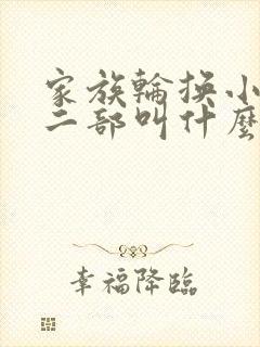 家族轮换小说第二部叫什么名字