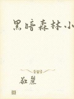 黑暗森林小说