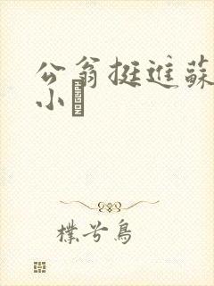公翁挺进苏玥的小泬
